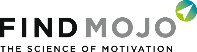 Find Mojo | Motivators Assessment